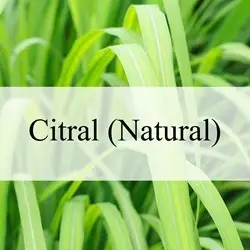 Citral (Natural)